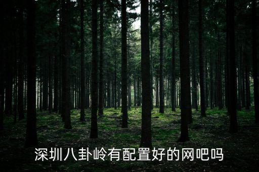 深圳八卦嶺有配置好的網吧嗎