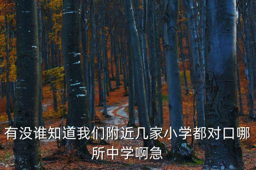 廣州六中對口小學(xué)，小學(xué)考廣州六中要多少分