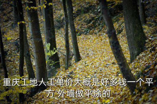 重慶工地人工單價大概是好多錢一個平方 外墻做平涂的