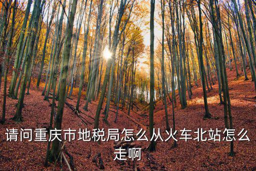 請問重慶市地稅局怎么從火車北站怎么走啊