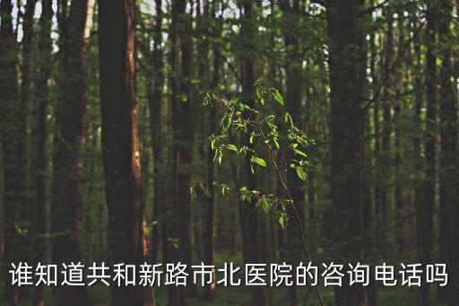 誰知道共和新路市北醫院的咨詢電話嗎