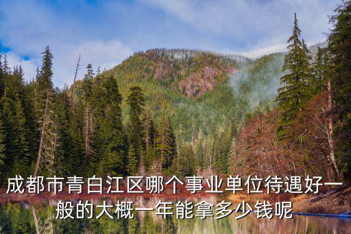 成都市青白江區(qū)哪個(gè)事業(yè)單位待遇好一般的大概一年能拿多少錢呢