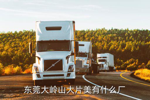 東莞大嶺山大片美有什么廠