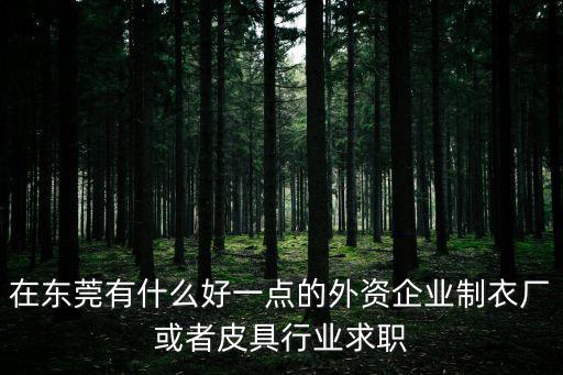 在東莞有什么好一點(diǎn)的外資企業(yè)制衣廠或者皮具行業(yè)求職