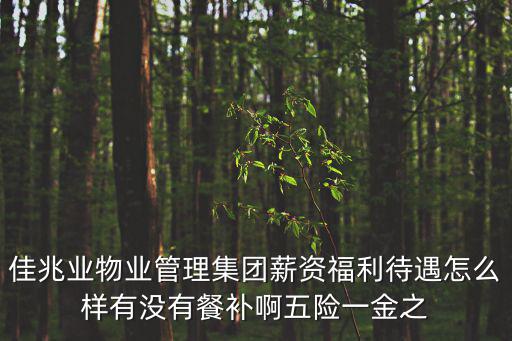 佳兆業物業管理集團薪資福利待遇怎么樣有沒有餐補啊五險一金之