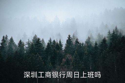 深圳工商銀行周日上班嗎