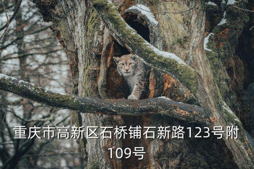 重慶市高新區(qū)石橋鋪石新路123號附109號