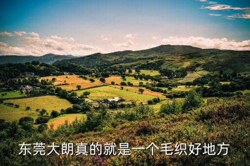 東莞大朗真的就是一個毛織好地方