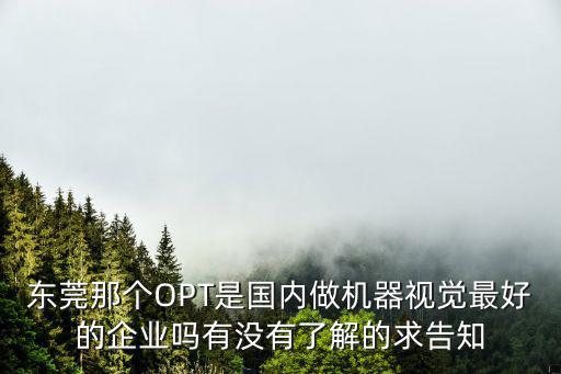 東莞那個OPT是國內做機器視覺最好的企業嗎有沒有了解的求告知