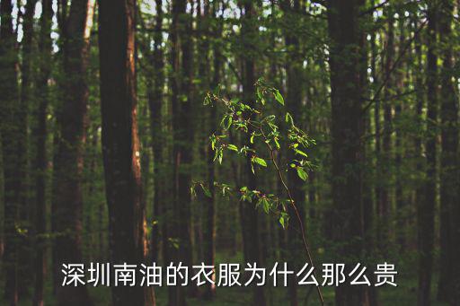 深圳南油的衣服為什么那么貴