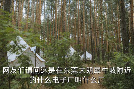 網友們請問這是在東莞大朗犀牛坡附近的什么電子廠叫什么廠