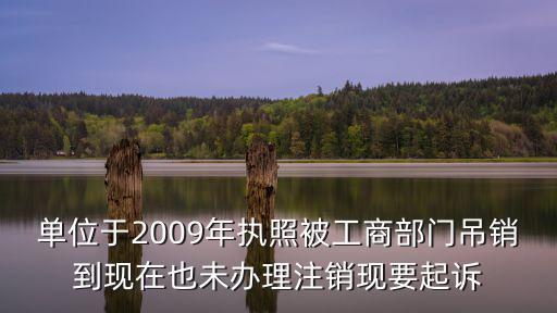 單位于2009年執照被工商部門吊銷到現在也未辦理注銷現要起訴