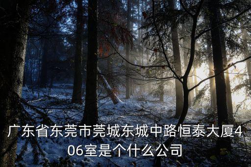 廣東省東莞市莞城東城中路恒泰大廈406室是個什么公司