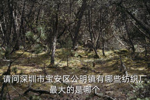 請問深圳市寶安區公明鎮有哪些紡織廠最大的是哪個