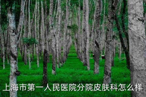 上海市第一人民醫院 傅國輝，上海市第一人民醫院分院皮膚科怎么樣