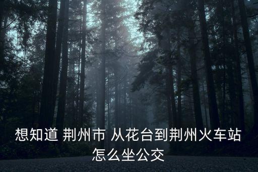 想知道 荊州市 從花臺到荊州火車站怎么坐公交