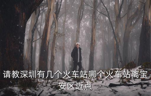 請教深圳有幾個火車站哪個火車站離寶安區近點