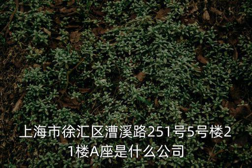 上海市信訪分類處理，上海市徐匯區(qū)漕溪路251號(hào)5號(hào)樓21樓A座是什么公司