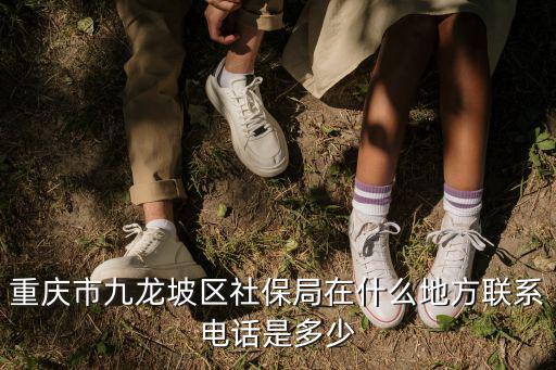重慶市九龍坡區(qū)社保局在什么地方聯(lián)系電話是多少