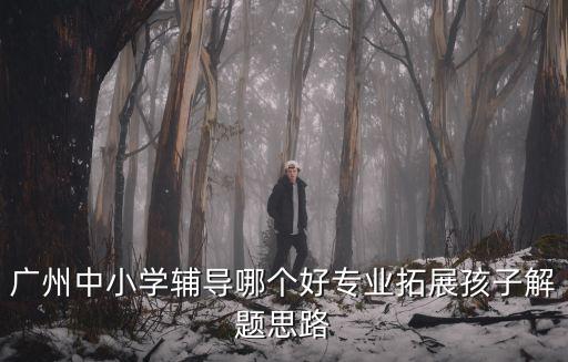 廣州中小學(xué)輔導(dǎo)哪個好專業(yè)拓展孩子解題思路