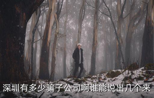 深圳有多少騙子公司啊誰能說出幾個來
