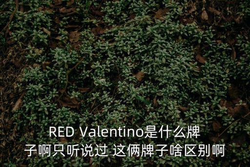 RED Valentino是什么牌子啊只聽說(shuō)過(guò) 這倆牌子啥區(qū)別啊
