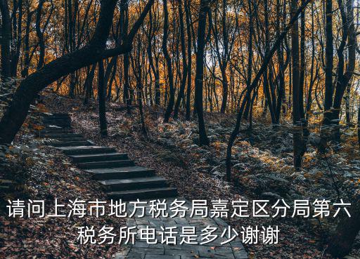 請(qǐng)問上海市地方稅務(wù)局嘉定區(qū)分局第六稅務(wù)所電話是多少謝謝