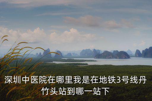 深圳中醫院在哪里我是在地鐵3號線丹竹頭站到哪一站下