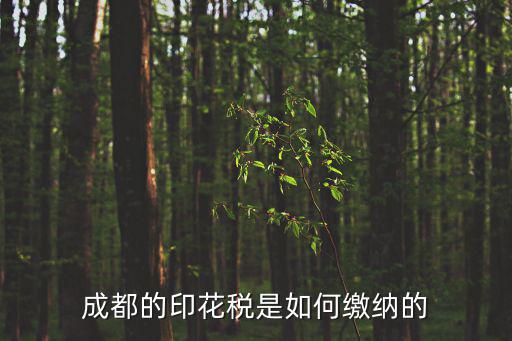成都的印花稅是如何繳納的