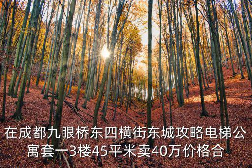 在成都九眼橋東四橫街東城攻略電梯公寓套一3樓45平米賣40萬價格合
