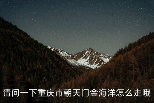 請問一下重慶市朝天門金海洋怎么走哦