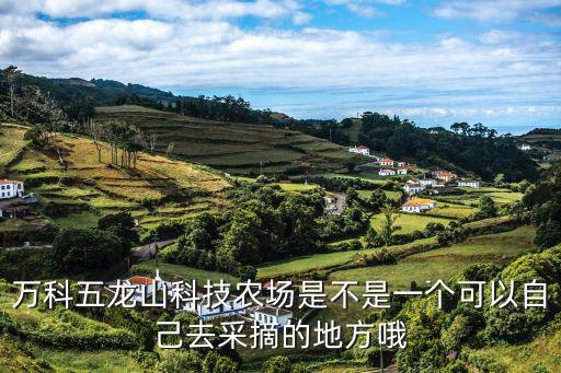 深圳新鮮蔬菜采摘，萬科五龍山科技農(nóng)場是不是一個可以自己去采摘的地方哦