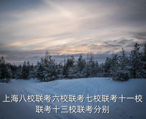 上海八校聯考六校聯考七校聯考十一校聯考十三校聯考分別