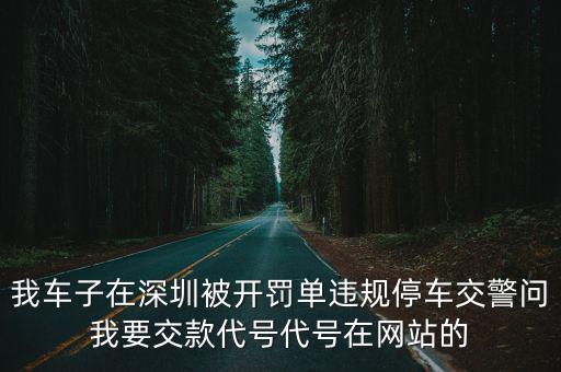 我車子在深圳被開罰單違規(guī)停車交警問我要交款代號代號在網(wǎng)站的