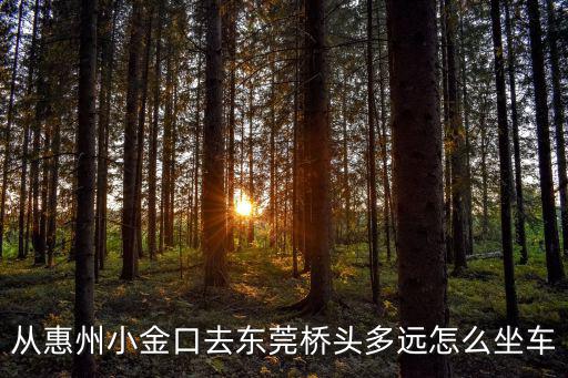 從惠州小金口去東莞橋頭多遠怎么坐車