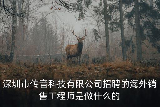 深圳市傳音科技有限公司招聘的海外銷售工程師是做什么的