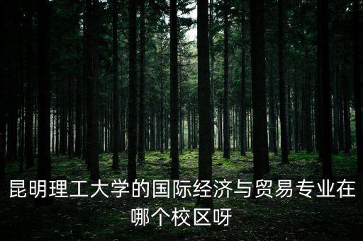 昆明理工大學廣州校區，昆明理工大學廣州校區廣州教學區學校大嗎教學質量怎么樣