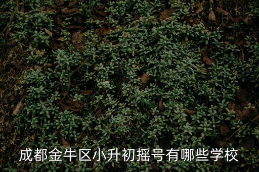 成都金牛區小升初搖號有哪些學校