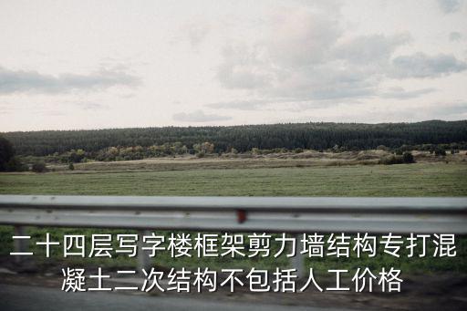 二十四層寫字樓框架剪力墻結構專打混凝土二次結構不包括人工價格