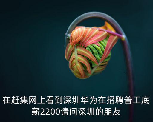 深圳芳療師招聘，在趕集網(wǎng)上看到深圳華為在招聘普工底薪2200請問深圳的朋友