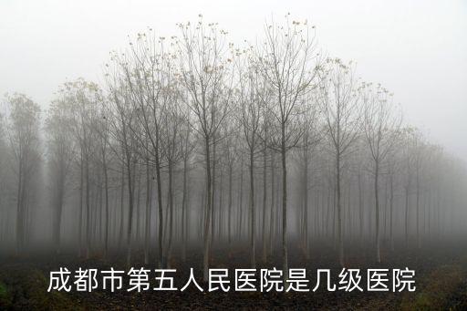 成都市等級(jí)醫(yī)院，成都市第五人民醫(yī)院是幾級(jí)醫(yī)院