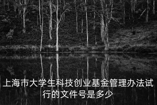 上海市大學(xué)生科技創(chuàng)業(yè)基金管理辦法試行的文件號(hào)是多少