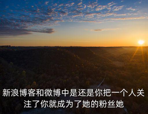 廣州銅印篆刻第一人馮建輝新浪微博，天下第一博客 看過不枉此生是什么博客