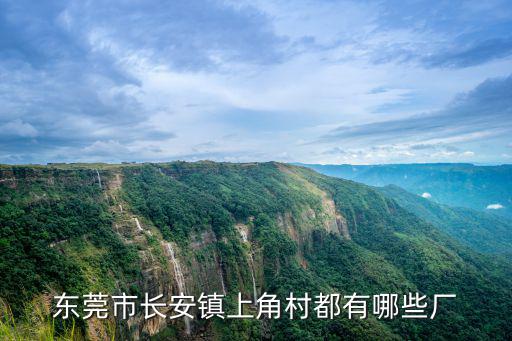 東莞市長安鎮上角村都有哪些廠