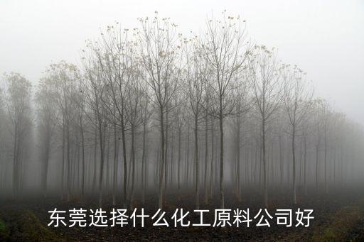 東莞選擇什么化工原料公司好