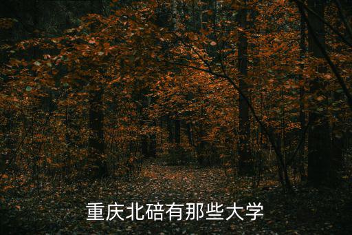 重慶北碚有那些大學(xué)
