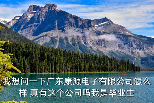 我想問(wèn)一下廣東康源電子有限公司怎么樣 真有這個(gè)公司嗎我是畢業(yè)生