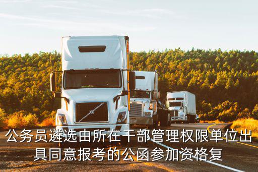 公務員遴選由所在干部管理權限單位出具同意報考的公函參加資格復