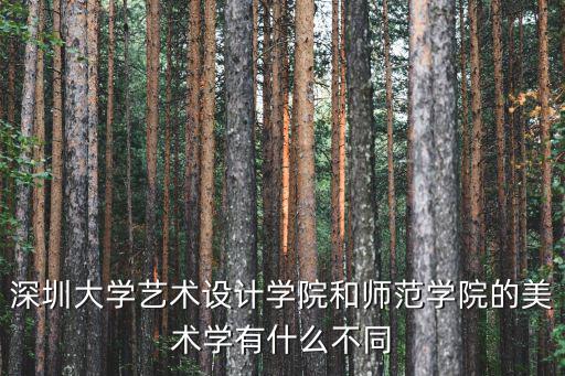 深圳大學藝術(shù)設(shè)計學院和師范學院的美術(shù)學有什么不同