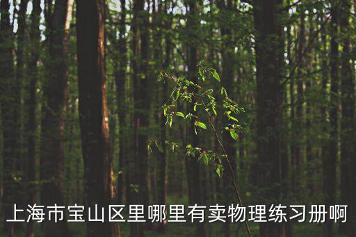 上海市寶山區(qū)里哪里有賣物理練習(xí)冊啊